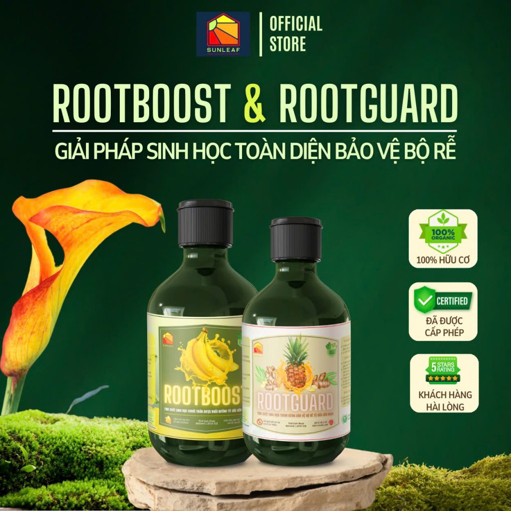 Trị bệnh cho cây với combo bảo vệ bộ rễ toàn diện