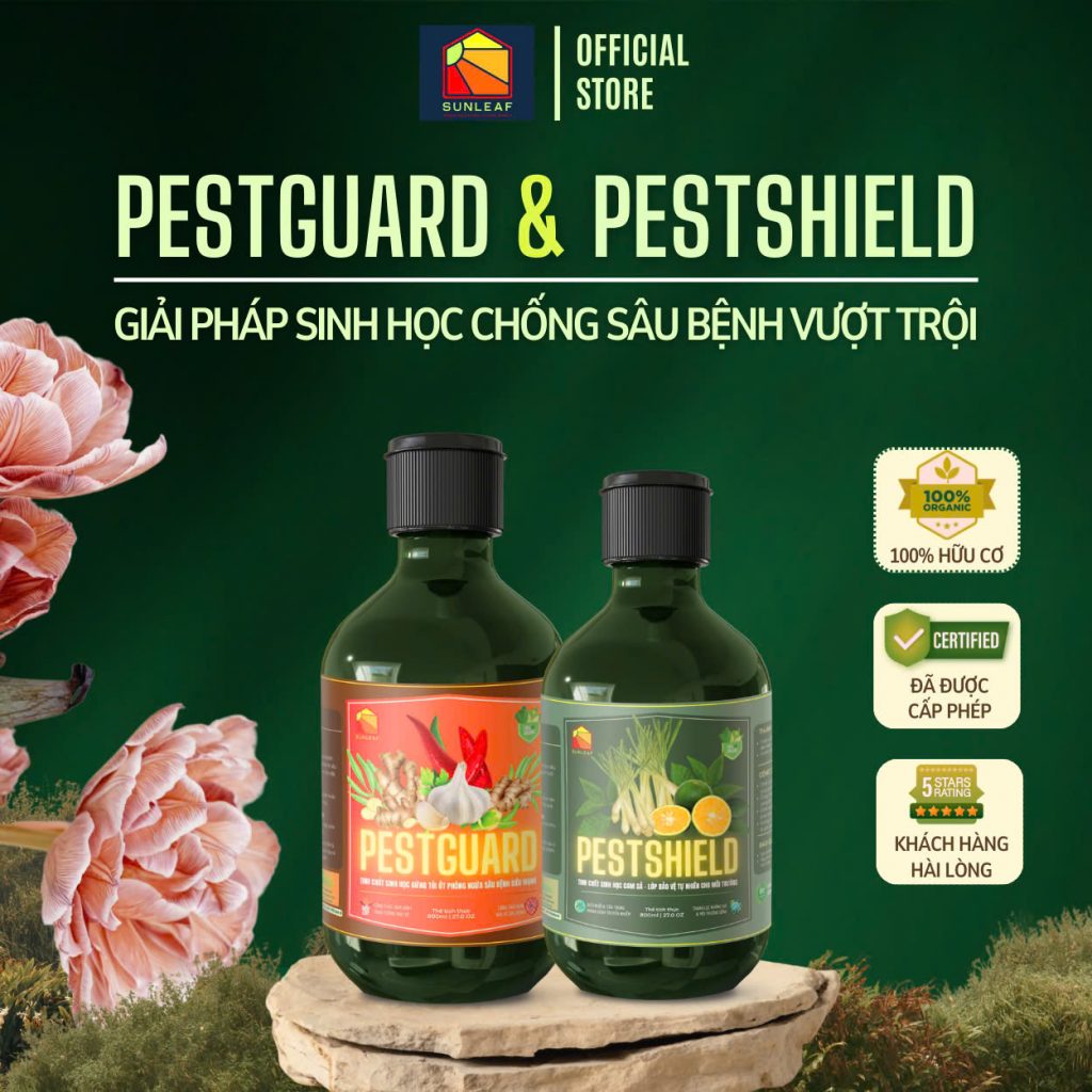 Trị bệnh cho cây với combo chống sâu bệnh vượt trội