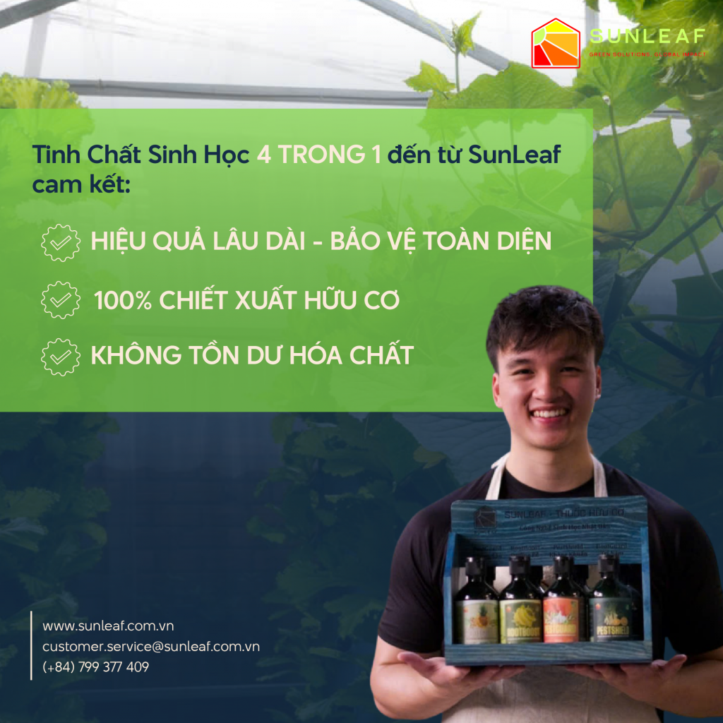 Cam kết SunLeaf để đồng hành cùng xuất khẩu nông sản