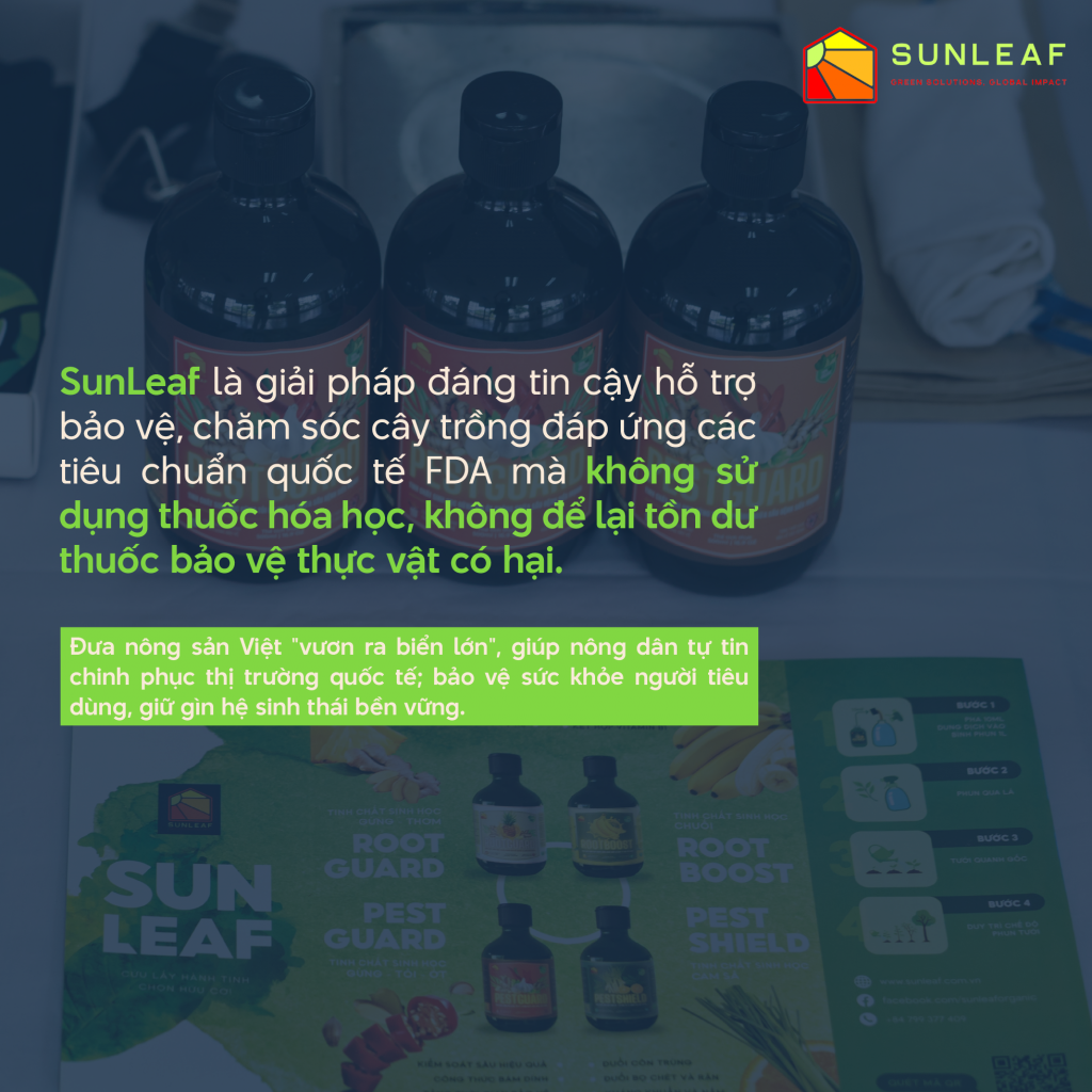 Giải pháp SunLeaf giúp nông sản dễ dàng đạt tiêu chuẩn xuất khẩu
