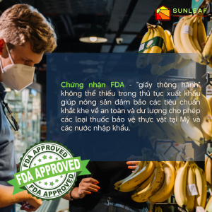 xuất khẩu nông sản